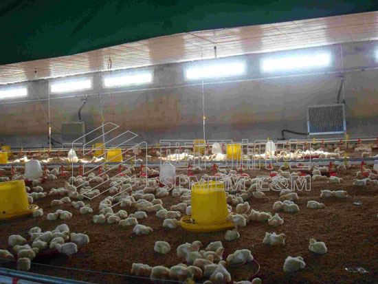 鸡舍养殖供暖方案