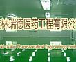 桂林瑞德医药工程项目